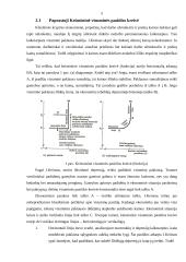 J. M. Keinso makroekonominės pusiausvyros modelis 5 puslapis