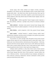 Jaunimo situacija Europos Sąjungos darbo rinkoje 3 puslapis