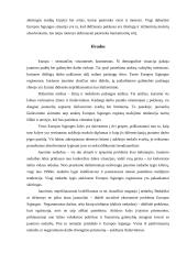 Jaunimo situacija Europos Sąjungos darbo rinkoje 10 puslapis