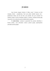 Jaunimo subkultūros Lietuvoje 2 puslapis