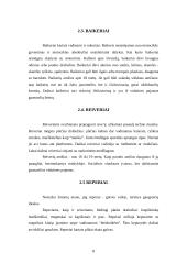 Jaunimo subkultūros Lietuvoje 7 puslapis