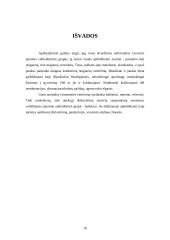 Jaunimo subkultūros Lietuvoje 9 puslapis