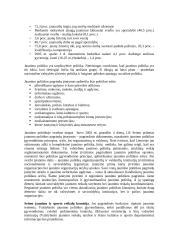 Jaunimo teisės dalyvaujant politiniame gyvenime 6 puslapis