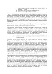 Jaunimo teisės dalyvaujant politiniame gyvenime 9 puslapis
