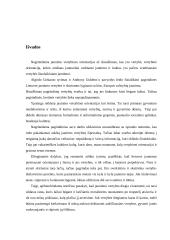 Jaunimo vertybinės orientacijos 13 puslapis