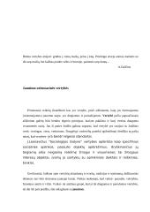 Jaunimo vertybinės orientacijos 4 puslapis