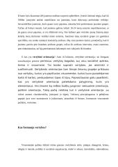 Jaunimo vertybinės orientacijos 5 puslapis