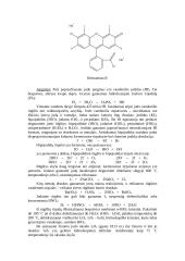 Projektas apie jodą 3 puslapis