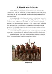 Jojamųjų arklių genetiniai ištekliai Lietuvoje ir pasaulyje, jų charakterizavimas ir panaudojimas 11 puslapis