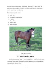 Jojamųjų arklių genetiniai ištekliai Lietuvoje ir pasaulyje, jų charakterizavimas ir panaudojimas 4 puslapis