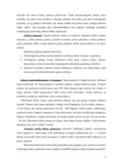 Judesių, pozų ir darbo vietos ergonomika 5 puslapis