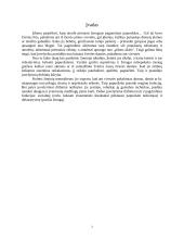 Juvelyrika Lietuvoje 2 puslapis