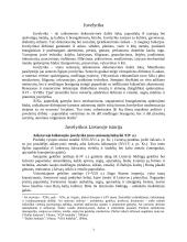 Juvelyrika Lietuvoje 3 puslapis