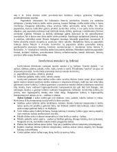 Juvelyrika Lietuvoje 5 puslapis