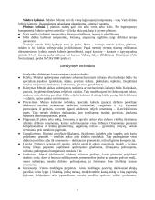 Juvelyrika Lietuvoje 6 puslapis