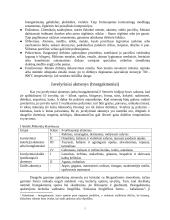 Juvelyrika Lietuvoje 7 puslapis