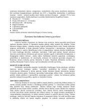 Juvelyrika Lietuvoje 8 puslapis