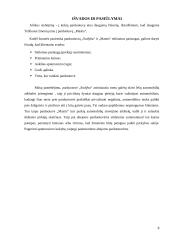 Ką aš geriau daryčiau negu konkurentas 8 puslapis