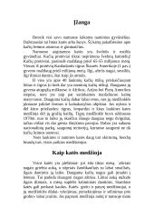 Kačių šeimos atstovai 2 puslapis