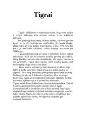 Kačių šeimos atstovai 11 puslapis