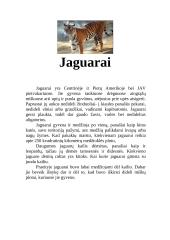 Kačių šeimos atstovai 12 puslapis