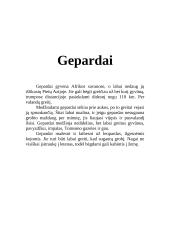 Kačių šeimos atstovai 13 puslapis