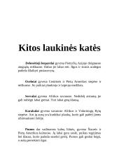 Kačių šeimos atstovai 14 puslapis