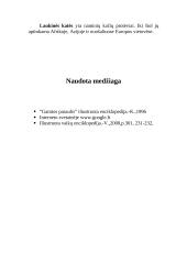 Kačių šeimos atstovai 15 puslapis