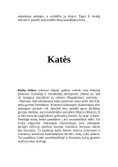 Kačių šeimos atstovai 6 puslapis