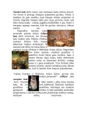 Kačių šeimos atstovai 8 puslapis