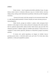 Kaimo turizmo raida 2 puslapis