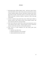 Kaimo turizmo raida 19 puslapis