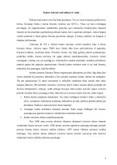 Kaimo turizmo raida 3 puslapis