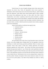 Kaimo turizmo raida 4 puslapis