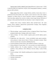 Kaimo turizmas Birštone 7 puslapis