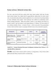 Kaimo turizmas Lietuvoje 12 puslapis