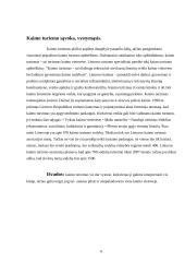 Kaimo turizmas Lietuvoje 6 puslapis