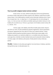 Kaimo turizmas Lietuvoje 8 puslapis