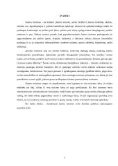 Kaimo turizmo išorinės aplinkos netiesioginio poveikio sritis 2 puslapis