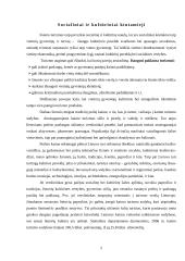 Kaimo turizmo išorinės aplinkos netiesioginio poveikio sritis 4 puslapis