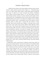 Kaimo turizmo išorinės aplinkos netiesioginio poveikio sritis ir jos įtaka veiklai 3 puslapis