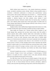 Kaimo turizmo išorinės aplinkos netiesioginio poveikio sritis ir jos įtaka veiklai 5 puslapis