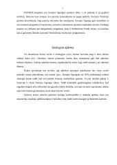 Kaimo turizmo išorinės aplinkos netiesioginio poveikio sritis ir jos įtaka veiklai 6 puslapis