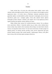 Kaimo turizmo išorinės aplinkos netiesioginio poveikio sritis ir jos įtaka veiklai 9 puslapis