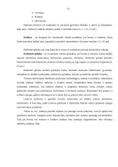 Kaimo turizmo plėtros perspektyvos Utenos apskrityje 11 puslapis