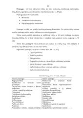 Kaimo turizmo plėtros perspektyvos Utenos apskrityje 16 puslapis