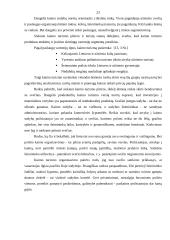 Kaimo turizmo plėtros perspektyvos Utenos apskrityje 19 puslapis