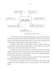 Kaimo turizmo plėtros perspektyvos Utenos apskrityje 6 puslapis