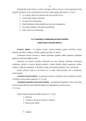 Kaimo turizmo plėtros perspektyvos Utenos apskrityje 10 puslapis