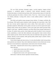 Kaimo turizmo verslo organizavimas 2 puslapis